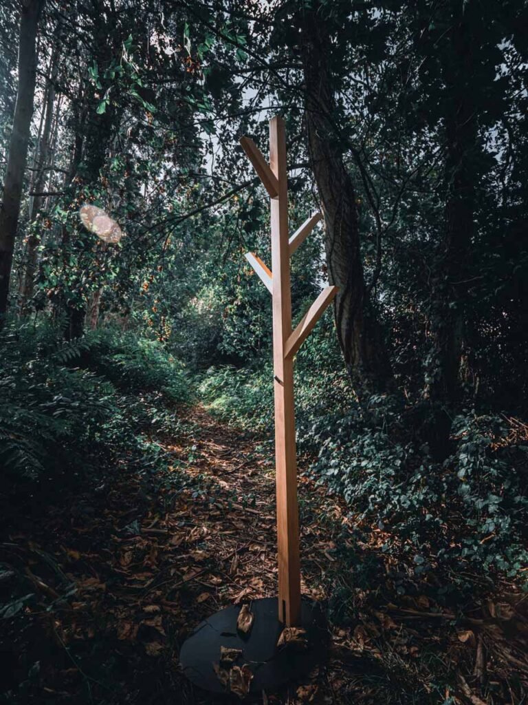 the_branch_2.jpg