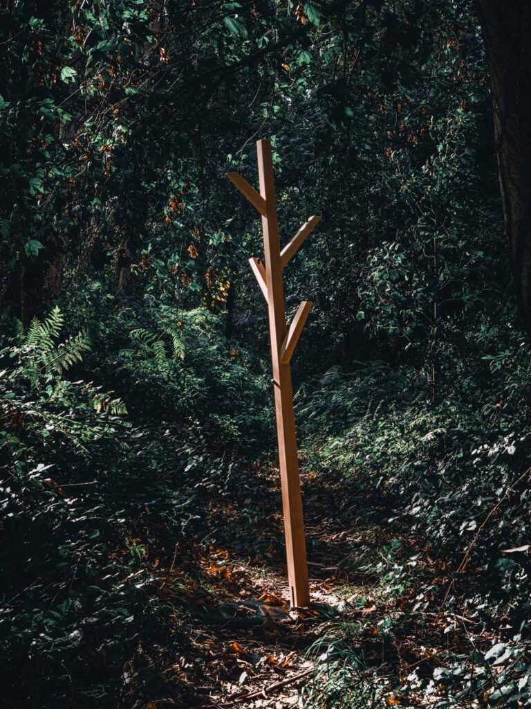 the_branch_4.jpg