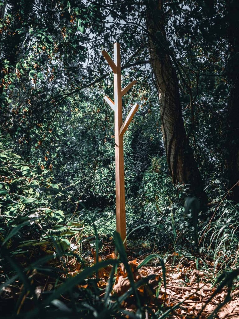 the_branch_5.jpg