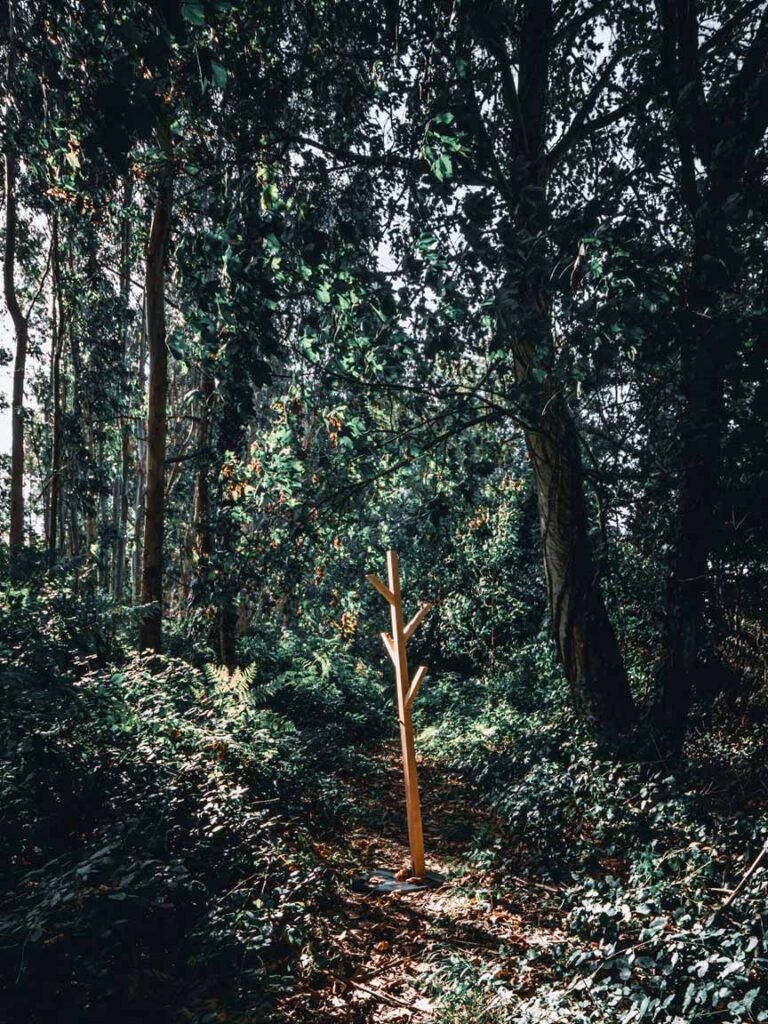 the_branch_7.jpg