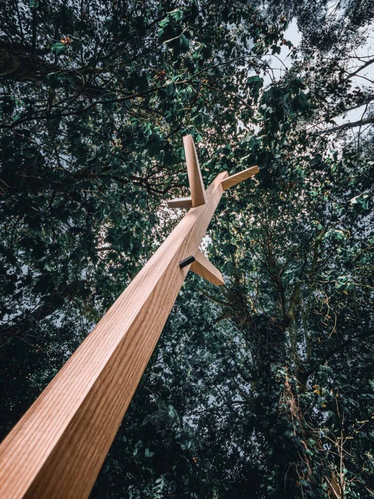 the_branch_9.jpg